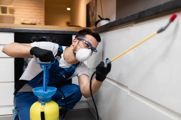 Pest Control Cost in Lake Shore, UT