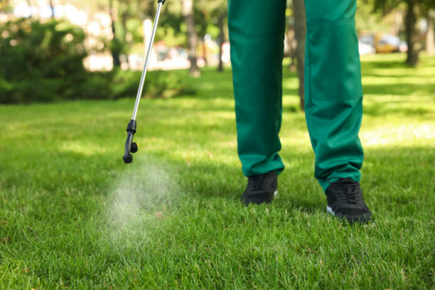 Best Pest Prevention Services  in Lake Shore, UT