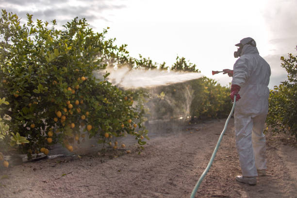 Best Residential Pest Control  in Lake Shore, UT