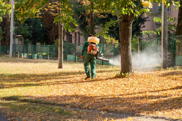 Trusted Lake Shore, UT Pest Control Experts