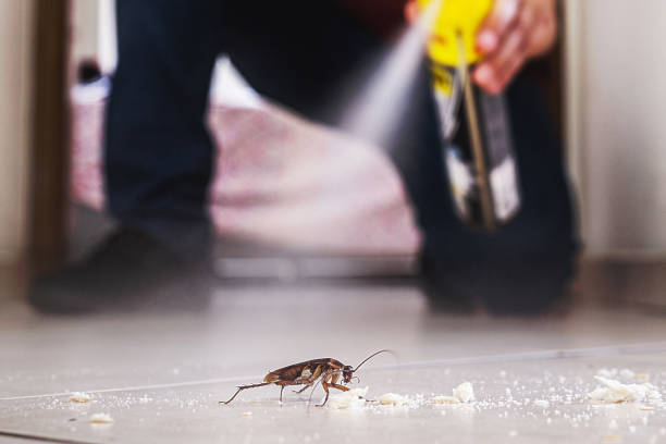 Best Pest Control Near Me in Lake Shore, UT